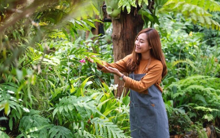 tree pruning