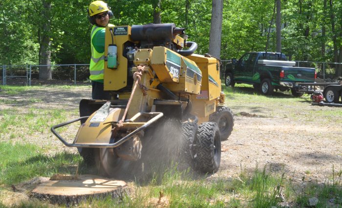 stump grinding near me