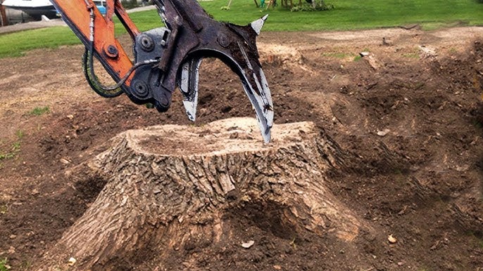 stump grinding near me