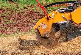 stump grinding near me