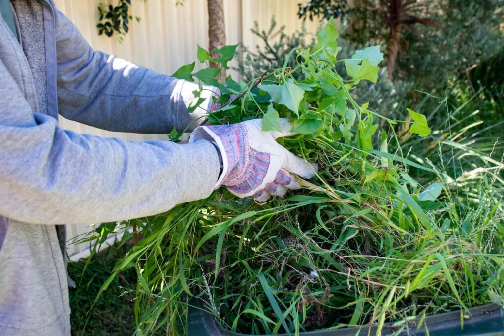 Community Perspectives on Sydney Tree Services and Environmental Stewardship