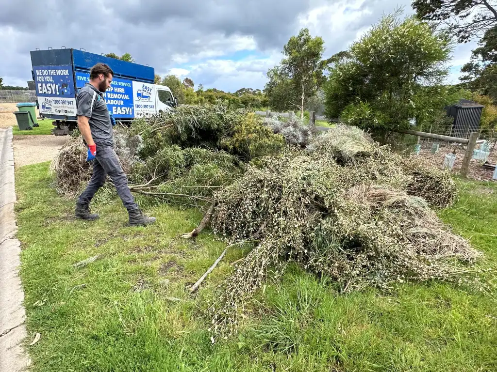 Tree Lopping Sydney as a Case Study in Human–Nature Coexistence