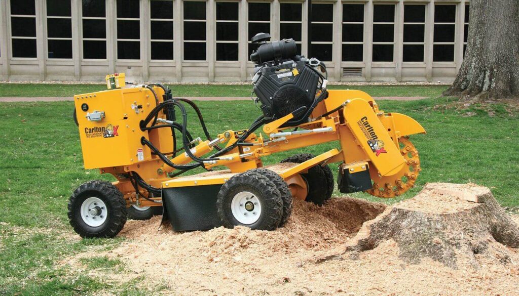 Prevent Damage to Your Garden with Expert Tree Root Removal