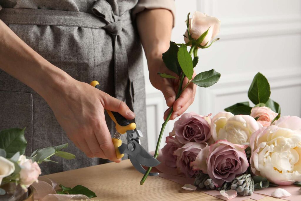Valentines day roses