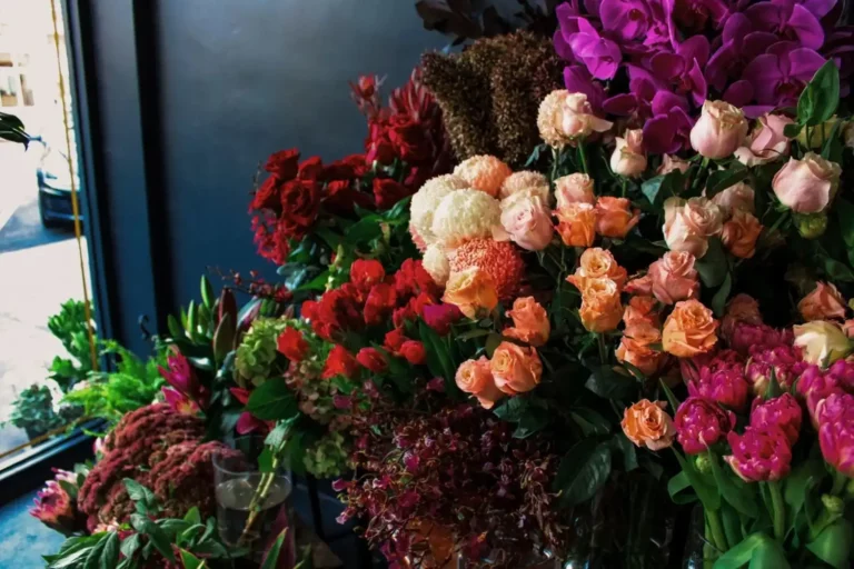 Valentines day roses