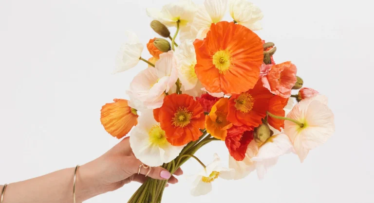 Best Flowers for Anniversary Gifting: A Ranked Guide